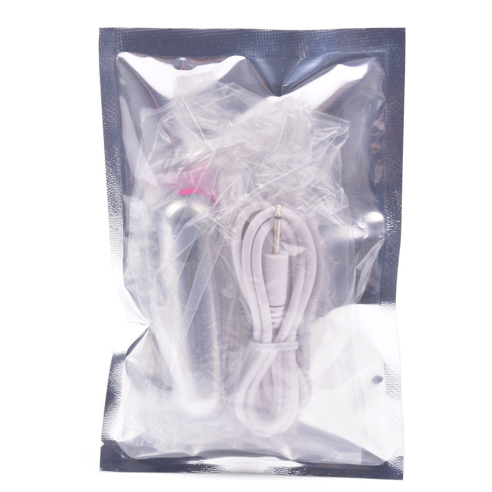 10 Speed Silver USB Recharging Vibrating Bullet